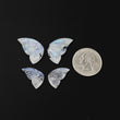 Moonstone Gemstone Carving : 39.05cts Natural Untreated Rainbow Moonstone Hand Carved Butterfly 20*11.5mm - 25*15mm 2Pairs