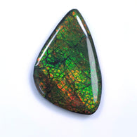 AMMOLITE Gemstone Cabochon : 106.75cts Natural Fossilized Shell Bi-Color Ammolite Uneven Shape Cabochon 56*35mm (With Video)