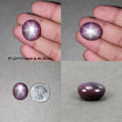 Star Ruby Gemstone Cabochon : 46cts - 53cts Natural Untreated Unheated 6Ray Purple Star Ruby Oval Shape