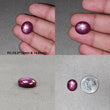 Star Ruby Gemstone Cabochon : Natural Untreated Unheated Red 6Ray Star Ruby Oval Shape