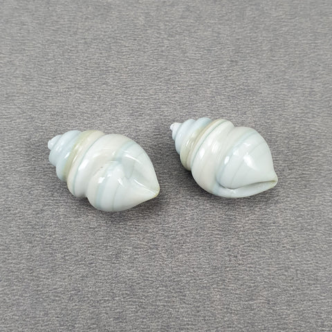 Agate Gemstone Carving : 65.50cts Natural Untreated Unheated Bi-Color Hand Carved Seashell Shape 26mm Pair