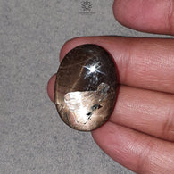 Star Golden Brown Chocolate Sapphire Gemstone Cabochon : 80.60cts Natural Untreated Sapphire 6Ray Double Star Oval Shape 33*23.5mm