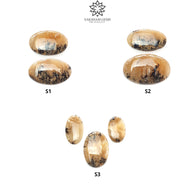 TIGER DENDRITE AGATE Gemstone Cabochon : Natural Untreated Unheated Bi-Color Agate Oval Shape 2pc/3pc Set