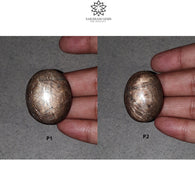 स्टार नीलम रत्न कैबोचोन: प्राकृतिक अनुपचारित सुनहरा भूरा चॉकलेट नीलम 6 रे स्टार अंडाकार आकार