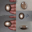 Star Sapphire Gemstone Cabochon : Natural Untreated Golden Brown Chocolate Sapphire 6Ray Star Oval Shape