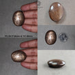 Star Sapphire Gemstone Cabochon : Natural Untreated Golden Brown Chocolate Sapphire 6Ray Star Oval Shape