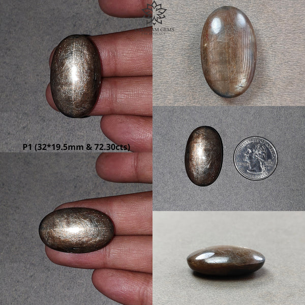 Star Sapphire Gemstone Cabochon : Natural Untreated Golden Brown Chocolate Sapphire 6Ray Star Oval Shape