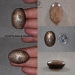 Star Sapphire Gemstone Cabochon : Natural Untreated Golden Brown Chocolate Sapphire 6Ray Star Oval Shape