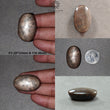 Star Sapphire Gemstone Cabochon : Natural Untreated Golden Brown Chocolate Sapphire 6Ray Star Oval Shape