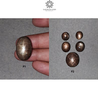 स्टार नीलम रत्न कैबोचोन: प्राकृतिक अनुपचारित सुनहरा भूरा चॉकलेट नीलम 6 रे स्टार अंडाकार आकार