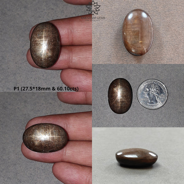 Star Sapphire Gemstone Cabochon : Natural Untreated Golden Brown Chocolate Sapphire 6Ray Star Oval Shape