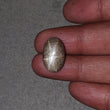 Star Sapphire Gemstone Cabochon : 20.90cts Natural Untreated Golden Brown Chocolate Sapphire 6Ray Star Oval Shape 19*12mm