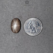 Star Sapphire Gemstone Cabochon : 20.90cts Natural Untreated Golden Brown Chocolate Sapphire 6Ray Star Oval Shape 19*12mm