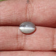 CHRYSOBERYL CAT'S EYE Gemstone Cabochon : Natural Untreated Unheated Cat's Eye Oval Shape For Jewelry