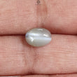 CHRYSOBERYL CAT'S EYE Gemstone Cabochon : Natural Untreated Unheated Cat's Eye Oval Shape For Jewelry