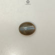 CHRYSOBERYL CAT'S EYE Gemstone Cabochon : Natural Untreated Unheated Cat's Eye Oval Shape For Jewelry