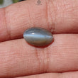 CHRYSOBERYL CAT'S EYE Gemstone Cabochon : Natural Untreated Unheated Cat's Eye Oval Shape For Jewelry