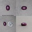 Star Ruby Gemstone Cabochon : 14cts - 20cts Natural Untreated Unheated Red 6Ray Star Ruby Oval Shape