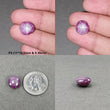 Johnson Mines Star Ruby Gemstone Cabochon : Natural Untreated Unheated Red 6Ray Star Ruby Uneven Shape