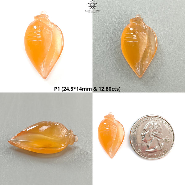 Multi Color Botswana Agate Gemstone Carving: Natural Untreated Bi-Color Agate Hand Carved Sea Shell & Butterfly 1pc, Pair for Jewelry