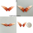 Multi Color Botswana Agate Gemstone Carving: Natural Untreated Bi-Color Agate Hand Carved Sea Shell & Butterfly 1pc, Pair for Jewelry