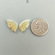 Multi Color Botswana Agate Gemstone Carving: Natural Untreated Bi-Color Agate Hand Carved Butterfly Pair for Jewelry May Birthstone