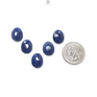 Blue, Golden Brown Sapphire Gemstone Faceted Cut: Natural Untreated Unheated Sapphire Rose Cut Egg, Round Shape 5pcs, 7pcs Set for Jewelry