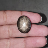 Star Sapphire Gemstone Cabochon: 25.00cts Natural Untreated Golden Brown Chocolate 6Ray Star Sapphire Oval Shape 19*15mm 1pc For Jewelry