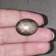 Star Sapphire Gemstone Cabochon: 25.00cts Natural Untreated Golden Brown Chocolate 6Ray Star Sapphire Oval Shape 19*15mm 1pc For Jewelry