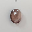 Star Sapphire Gemstone Cabochon: 25.00cts Natural Untreated Golden Brown Chocolate 6Ray Star Sapphire Oval Shape 19*15mm 1pc For Jewelry