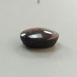 Star Sapphire Gemstone Cabochon: 25.00cts Natural Untreated Golden Brown Chocolate 6Ray Star Sapphire Oval Shape 19*15mm 1pc For Jewelry