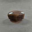 Golden Brown Chocolate SAPPHIRE Gemstone WAND : 132.70cts Natural Untreated Sapphire Specimen 6Ray Star Rough Wand 31.5*24mm