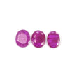 Mozambique RUBY Gemstone Normal Cut : 5.00cts Natural Untreated Unheated Reddish Pink Ruby Oval Shape 10*8mm - 10.5*8.5mm 3pcs