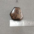 गोल्डन ब्राउन चॉकलेट नीलम रत्न ट्रैपिचे छड़ी: 705.00cts प्राकृतिक अनुपचारित कच्चे नीलम नमूना छड़ी 50*46mm