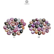 Multi Sapphire Gemstone Rose Cut : Natural Untreated Unheated Sapphire Multi Color Egg Shape Lot