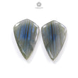 Labradorite Cabochon Fancy Cut: 70.00cts Natural Untreated Unheated Blue Labradorite Pear Shape 44*33mm Pair For Jewelry