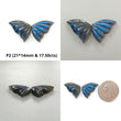 Rainbow Flashing Blue Labradorite Gemstone Carving: Natural Untreated Unheated Labradorite February Birthstone Hand Carved Butterfly Pair