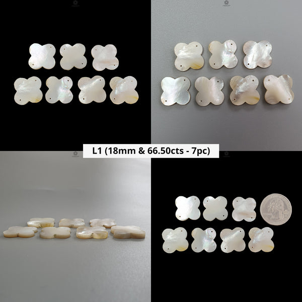 Mother Of Pearl Gemstone Carving: Natural Untreated White Mop Hand Carved Fancy Shape Lots For Jewelry