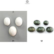 White Opal & Chrysoberyl Cat's Eye Gemstone Cabochon: Natural Untreated Unheated Color Enhanced Bi-color Opal Shape Gemstone Set For Jewelry