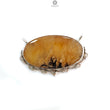 Tiger Dendrite Agate Plain Silver Pendant: 12.00gms Natural Untreated Bi-Color Agate Oval 925 Sterling Silver Bezel Set Pendant 2.00"