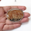 Tiger Dendrite Agate Plain Silver Pendant:15.42gms Natural Untreated Bi-Color Agate Oval 925 Sterling Silver Bezel Set Pendant 2.00"