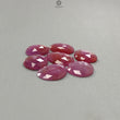 Raspberry Pink Sapphire Gemstone Rose Cut Slices: Natural Untreated Sheen Sapphire Faceted Egg Shape 7pcs Lot September Birthstone