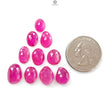 Pink Ruby Gemstone Rose Cut Slices: Natural Glass Filled Ruby Fancy Shape Faceted 10pcs, 11pcs Lot For Jewelry