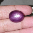 Star Ruby Gemstone Cabochon : 33.00cts Natural Untreated Purple 6Ray Star Ruby Oval Shape 18.5*15mm