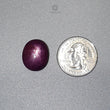 Star Ruby Gemstone Cabochon : 33.00cts Natural Untreated Purple 6Ray Star Ruby Oval Shape 18.5*15mm