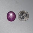 Star Ruby Gemstone Cabochon : 44.70cts Natural Untreated Red 6Ray Star Ruby Oval Shape 23*19mm