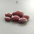 Star Ruby Gemstone Cabochon : 27.10cts Natural Untreated Unheated Ruby Oval Shape 7.5*5.5mm - 13*10.5mm 6pcs Lot