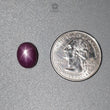 Star Ruby Gemstone Cabochon : 11.30cts Natural Untreated Unheated Red Ruby 12*9mm Oval Shape 1pc