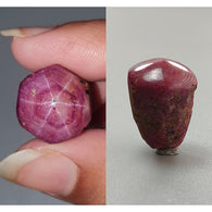 Star Ruby Gemstone Wand Specimen : 44.50cts. Natural Untreated Unheated Red 6Ray Johnson Mines Star Ruby Hexagon Shape 15.5*14.5mm 1pc