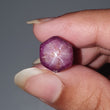 Star Ruby Gemstone Wand Specimen :  24.00cts. Natural Untreated Unheated Red 6Ray Johnson Mines Star Ruby Hexagon Shape 11.5*10mm 1pc